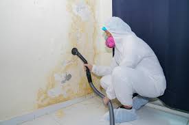 Best Post-Construction Mold Inspection in USA